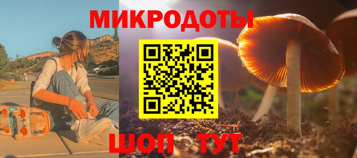 Псилоцибиновые грибы Cubensis Черногорск